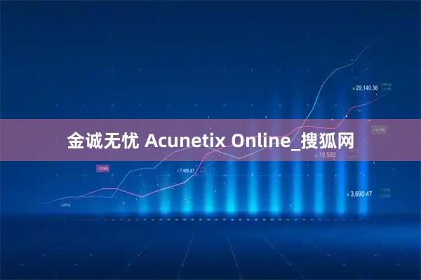 金诚无忧 Acunetix Online_搜狐网