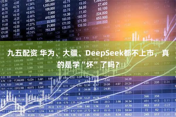 九五配资 华为、大疆、DeepSeek都不上市，真的是学“坏”了吗？