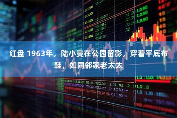 红盘 1963年，陆小曼在公园留影，穿着平底布鞋，如同邻家老太太