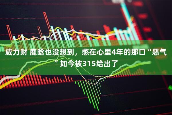 威力财 鹿晗也没想到，憋在心里4年的那口“恶气”如今被315给出了