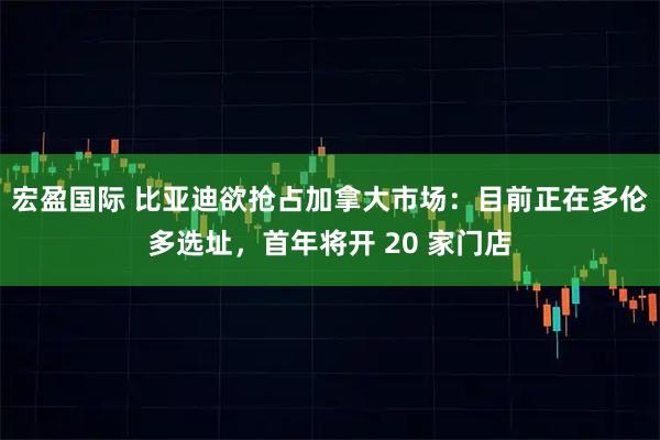 宏盈国际 比亚迪欲抢占加拿大市场：目前正在多伦多选址，首年将开 20 家门店