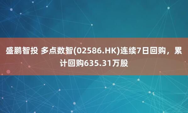 盛鹏智投 多点数智(02586.HK)连续7日回购，累计回购635.31万股