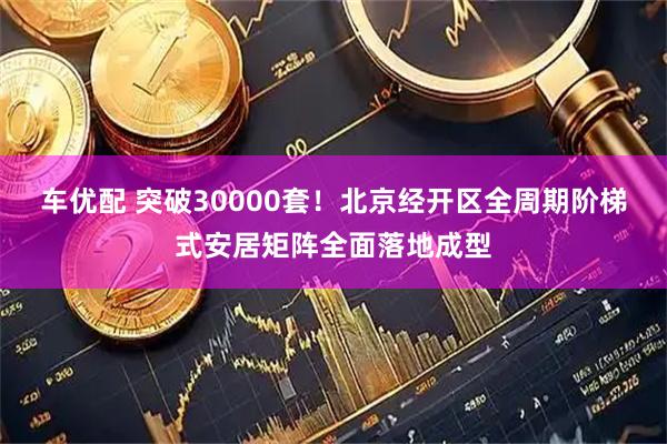 车优配 突破30000套！北京经开区全周期阶梯式安居矩阵全面落地成型