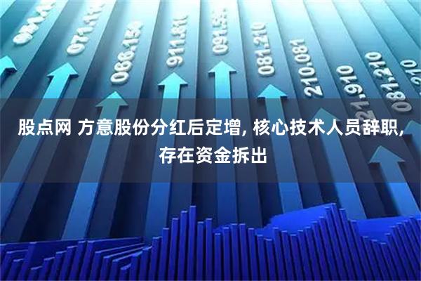 股点网 方意股份分红后定增, 核心技术人员辞职, 存在资金拆出